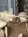Vorschaubild 7