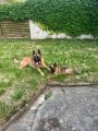 Vorschaubild 7