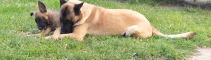 Vorschaubild 9
