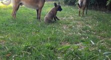 Vorschaubild 1