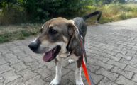 Vorschaubild 4