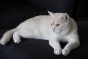 Vorschaubild 7