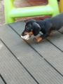 Vorschaubild 3