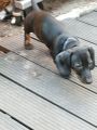 Vorschaubild 7