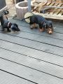 Vorschaubild 4