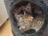 Vorschaubild 5
