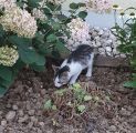 Vorschaubild 6