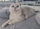 Vorschaubild 10
