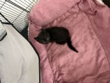 Vorschaubild 5