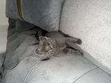 Vorschaubild 1