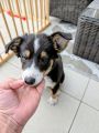 Vorschaubild 1