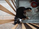 Vorschaubild 5