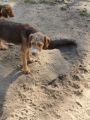 Vorschaubild 3