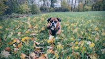 Vorschaubild 9