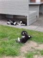 Vorschaubild 4