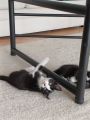 Vorschaubild 6