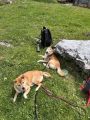 Vorschaubild 5