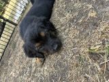 Vorschaubild 6