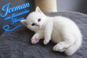 Vorschaubild 6