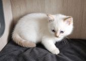 Vorschaubild 9
