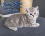 Vorschaubild 10