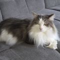 Vorschaubild 3