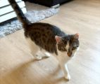 Vorschaubild 8