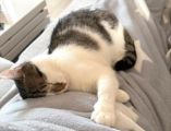 Vorschaubild 9