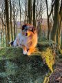 Vorschaubild 5