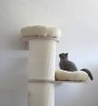 Vorschaubild 6