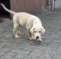 Vorschaubild 8