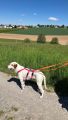 Vorschaubild 8