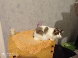 Vorschaubild 8