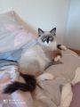 Vorschaubild 7