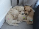 Vorschaubild 9