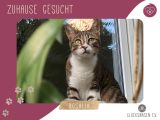 Vorschaubild 1