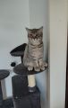 Vorschaubild 5