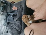 Vorschaubild 6