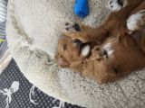 Vorschaubild 7