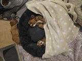 Vorschaubild 9