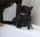 Vorschaubild 3