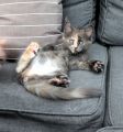 Vorschaubild 2