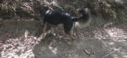Vorschaubild 1