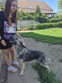 Vorschaubild 10
