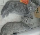 Vorschaubild 7