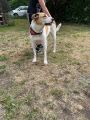 Vorschaubild 8