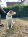 Vorschaubild 6