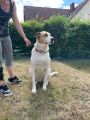 Vorschaubild 7