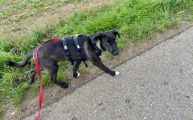 Vorschaubild 2
