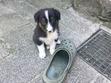 Vorschaubild 3